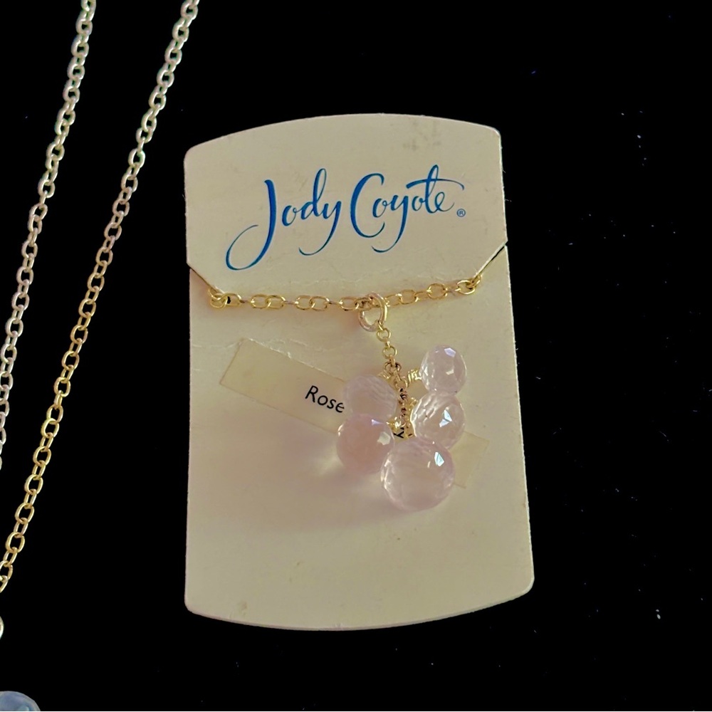 Jody Coyote Faceted Rose Quartz Gemstones on 925 Chain Necklace NWT